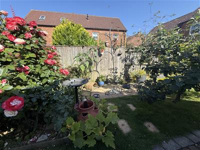 Picture 25